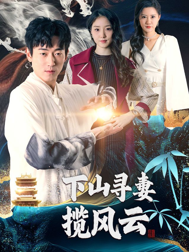 下山寻妻揽风云封面