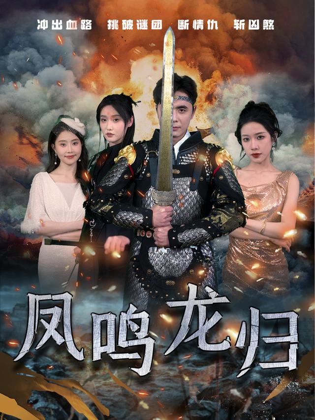 凤鸣龙归封面