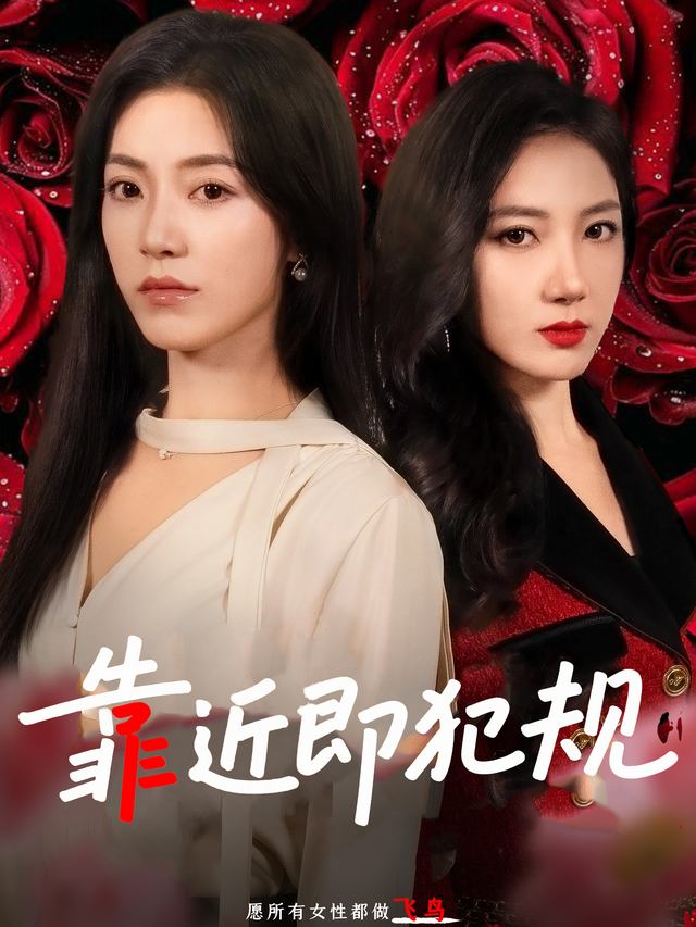靠近即犯规封面