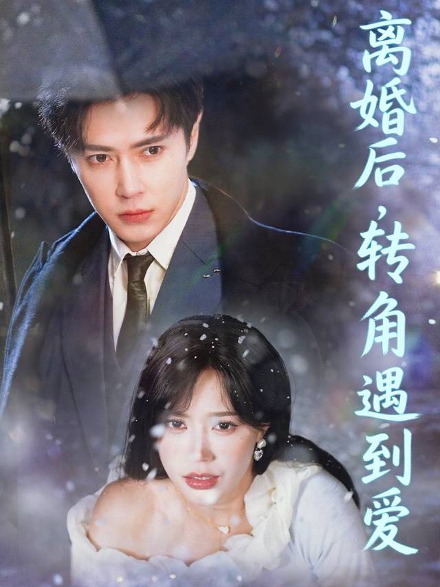 离婚后,转角遇到爱封面