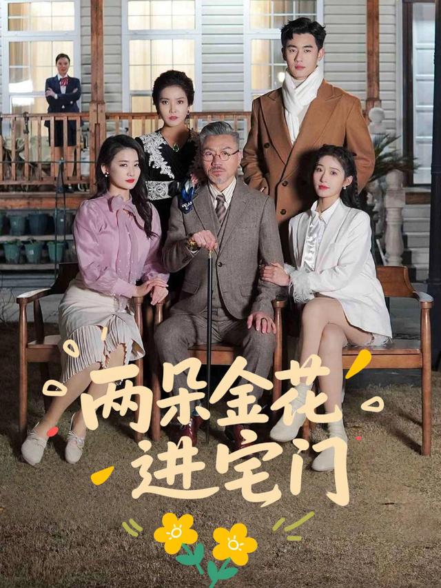 两朵金花进宅门封面