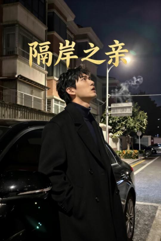隔岸之亲封面
