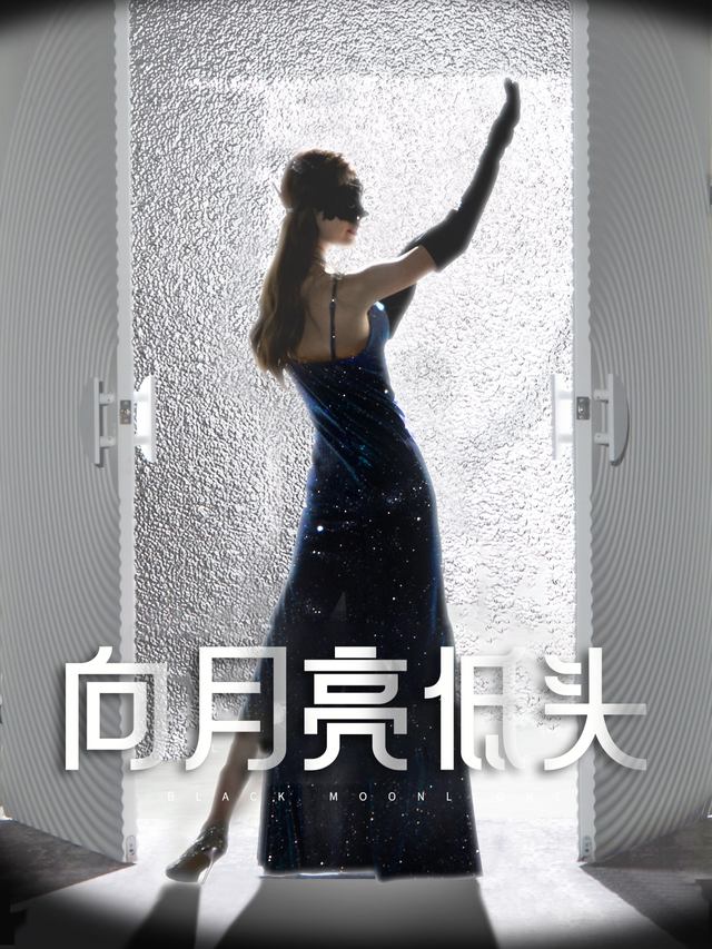 向月亮低头封面
