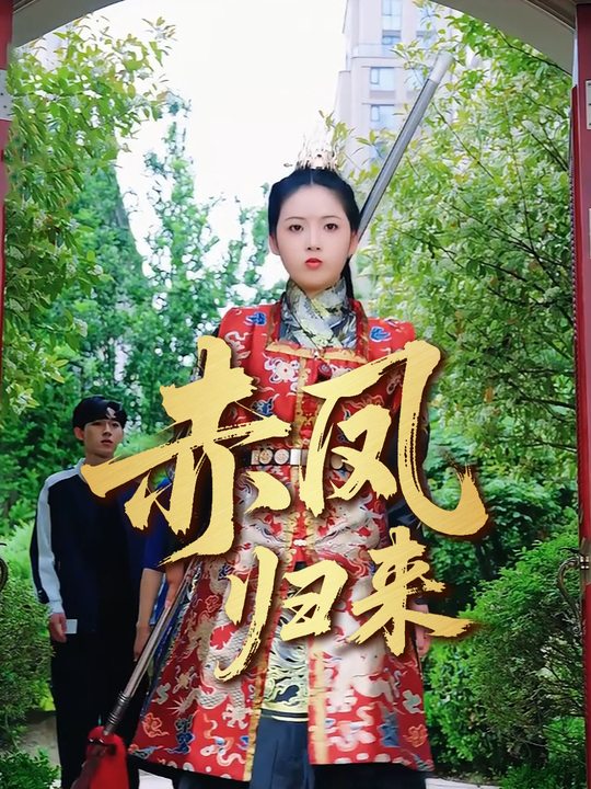 赤凤归来封面