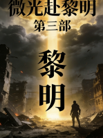 微光赴黎明  第三部封面