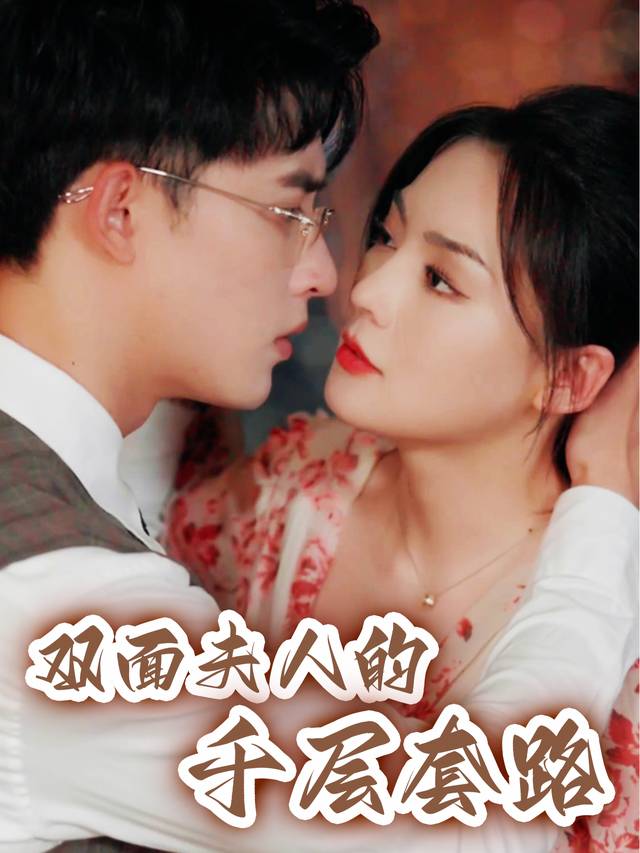 双面夫人的千层套路封面
