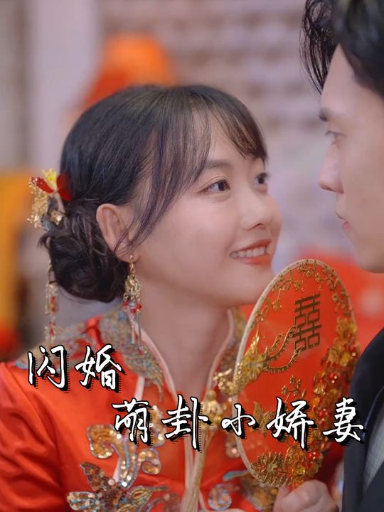 闪婚萌卦小娇妻封面