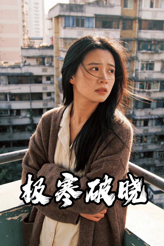 极寒破晓封面