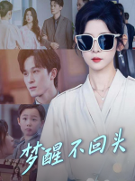 梦醒不回头封面