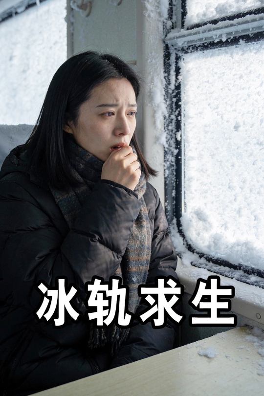 冰轨求生封面