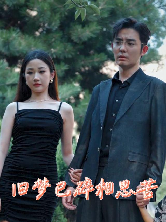 旧梦已碎相思苦封面