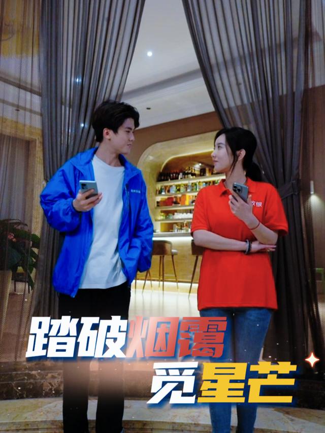 踏破烟霭觅星芒封面
