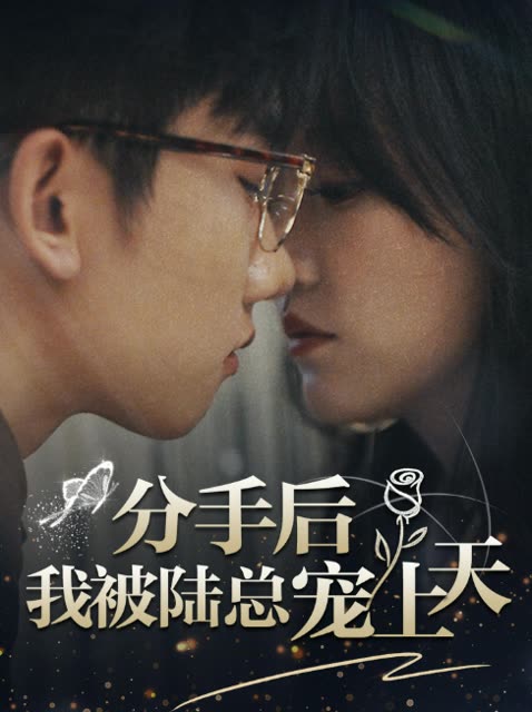 分手后我被陆总宠上天封面