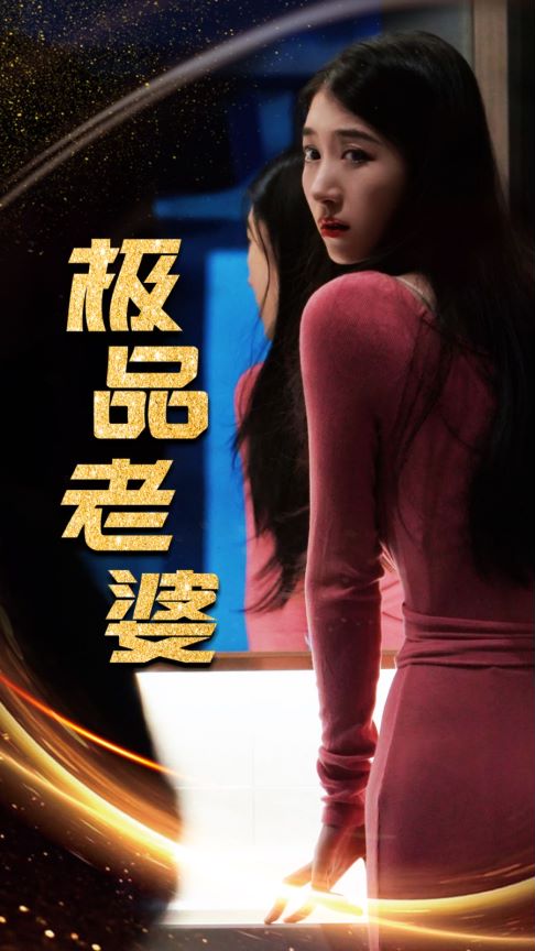 极品老婆封面