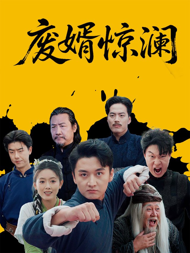 废婿惊澜封面