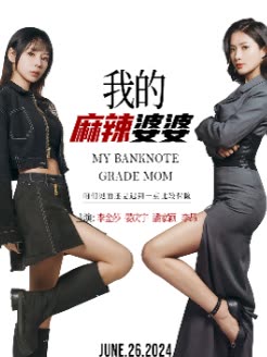 我的麻辣婆婆封面