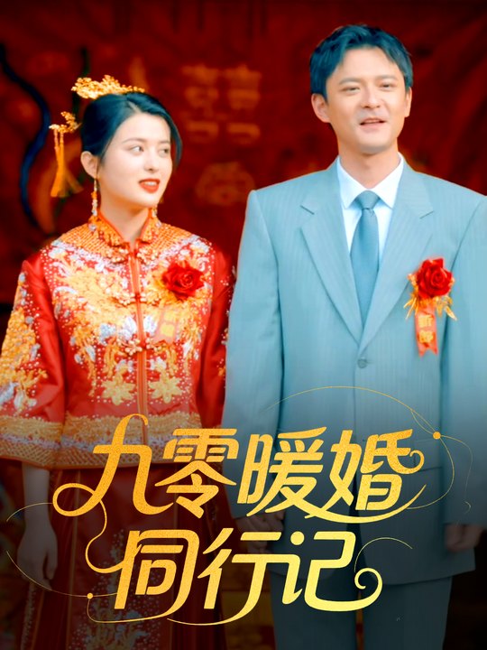 九零暖婚同行记封面