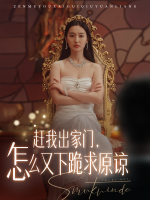赶我出家门,怎么又下跪求原谅封面