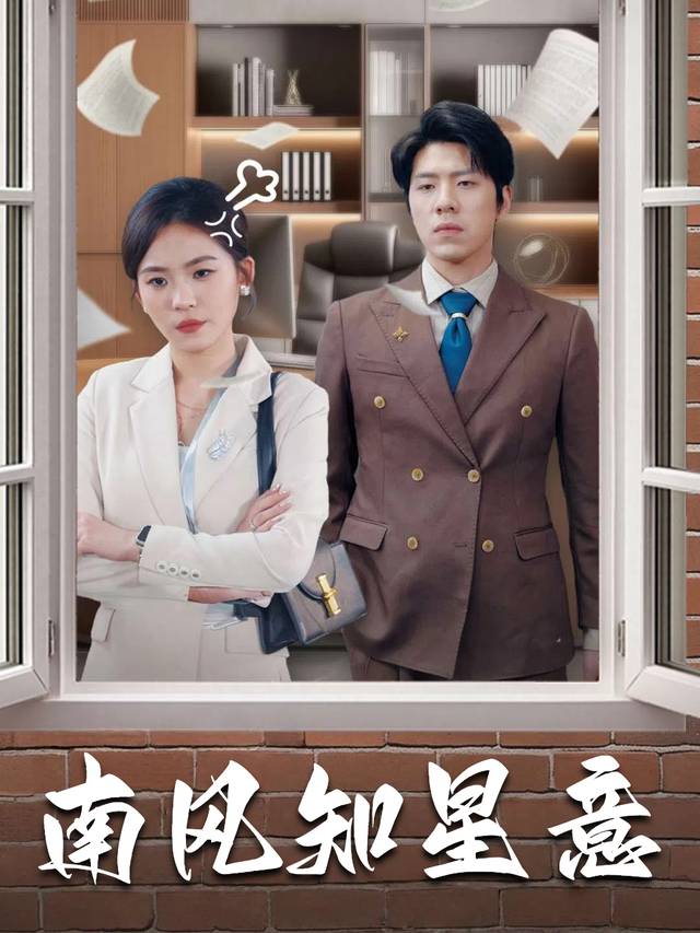 南风知星意封面