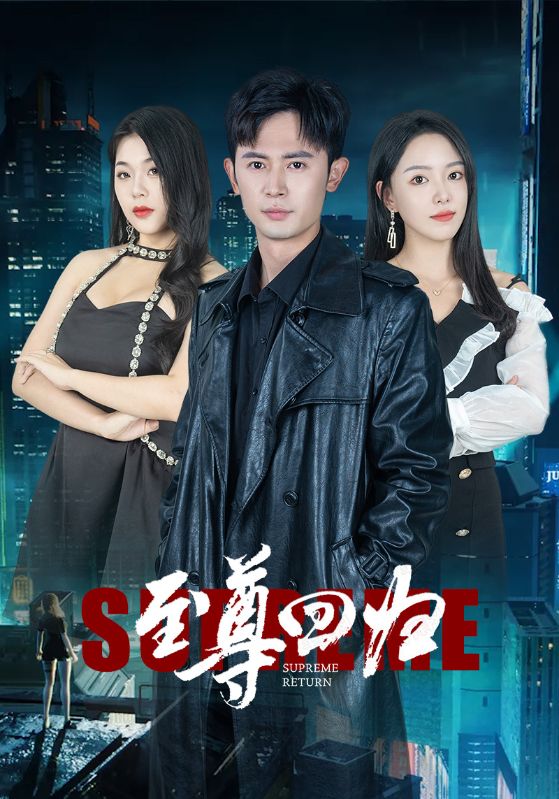 至尊回归封面