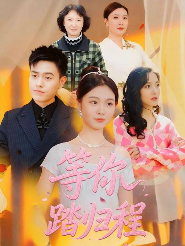 等你踏归程封面