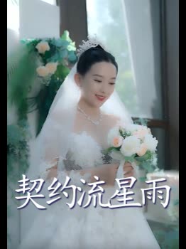 契约流星雨封面
