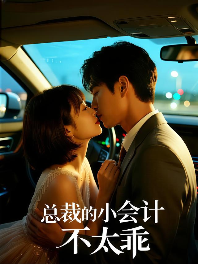 总裁的小会计不太乖封面