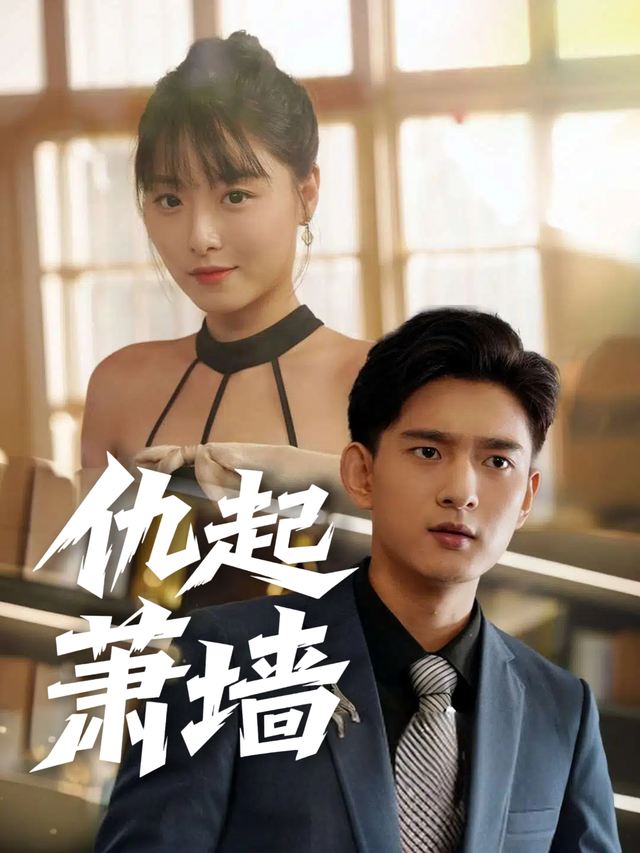 仇起萧墙封面
