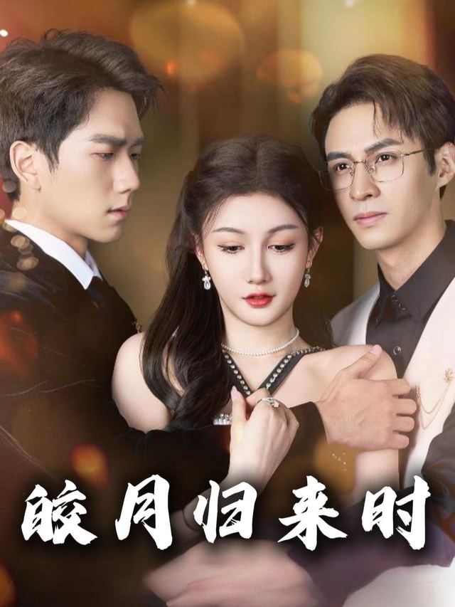 皎月归来时封面