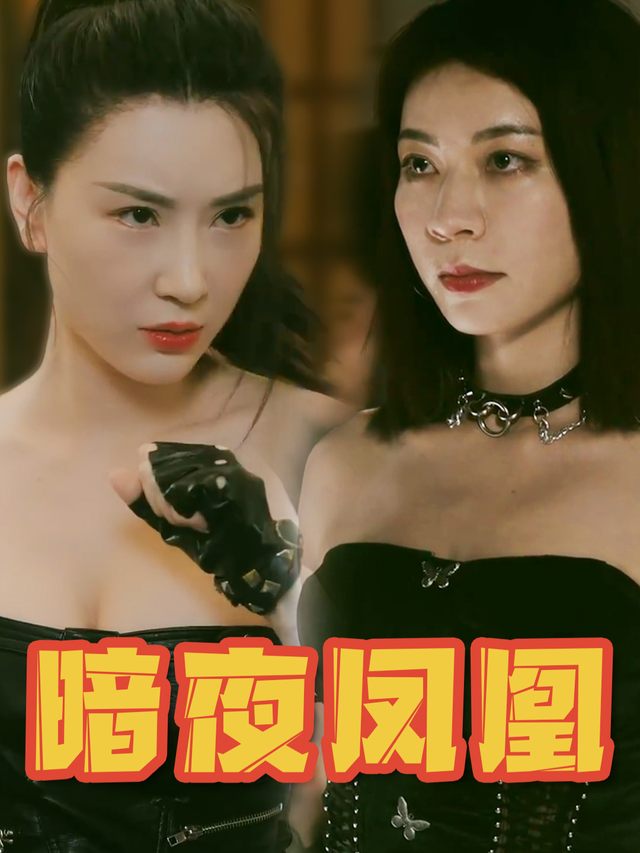 暗夜凤凰封面
