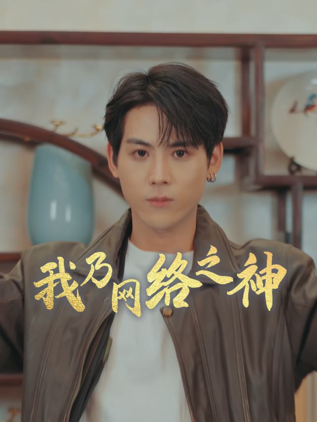 我乃网络之神封面