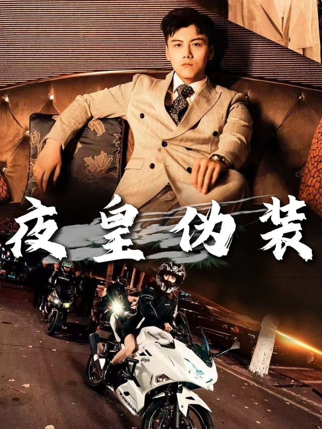 夜皇伪装封面