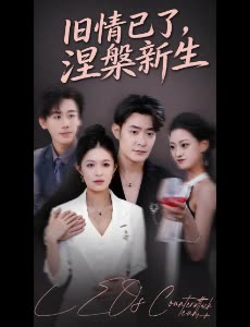 旧情已了,涅槃新生封面