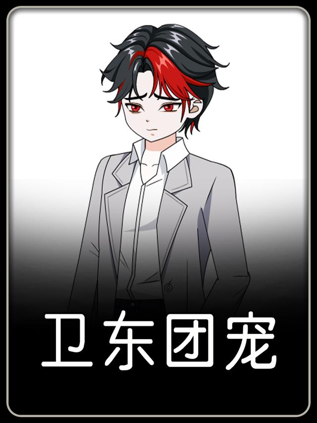 卫东团宠封面