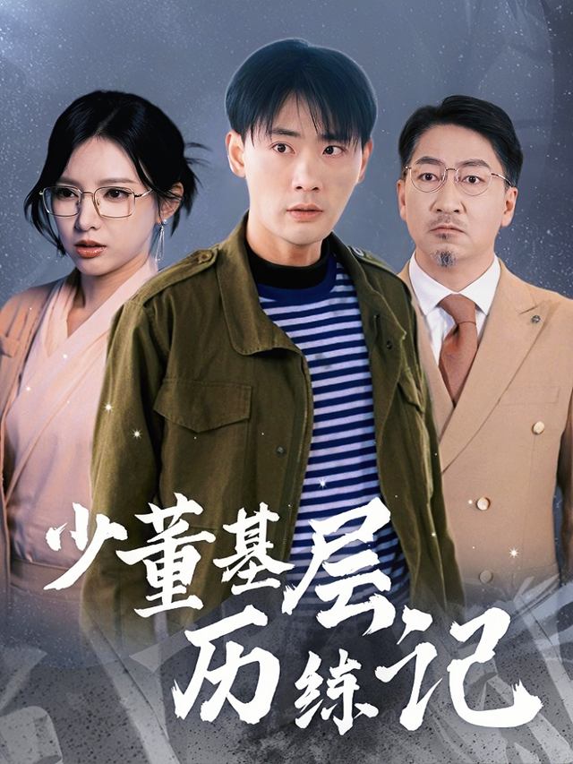 少董基层历练记封面