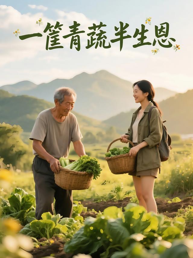 一筐青蔬半生恩封面