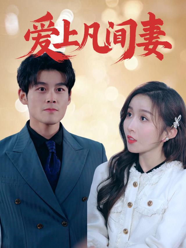 爱上凡间妻封面