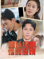 难以捉摸他的深情封面