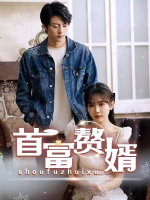 首富赘婿封面