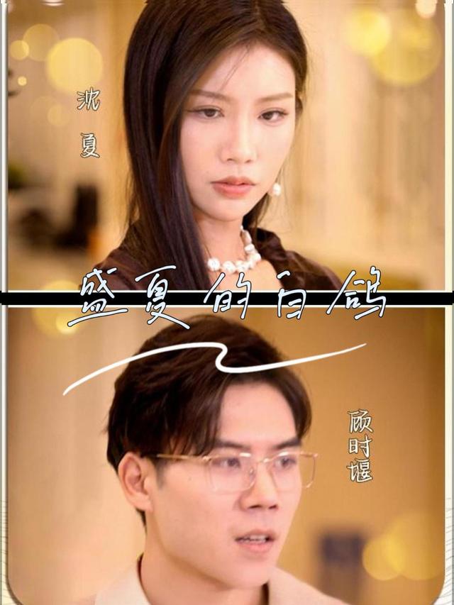 盛夏的白鸽封面
