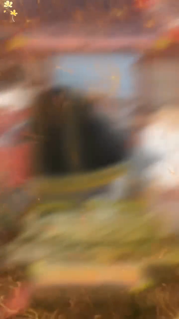 大明传送门,穿越朱允熥当皇帝封面