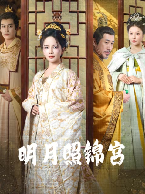 明月照锦宫封面