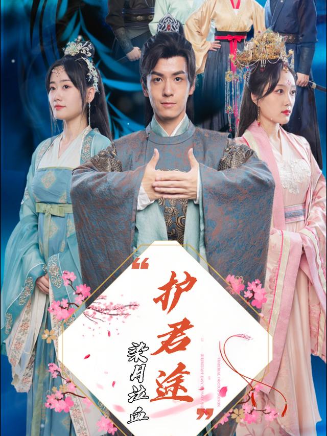 染月泣血护君途封面