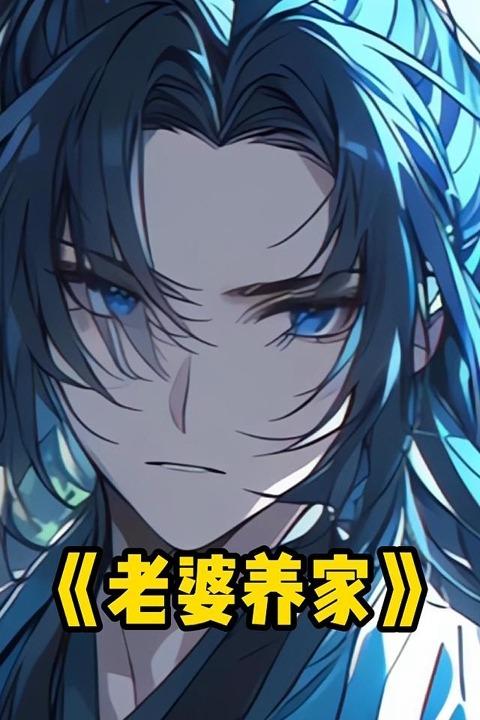老婆养家封面