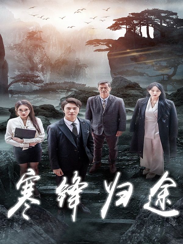 寒锋归途封面