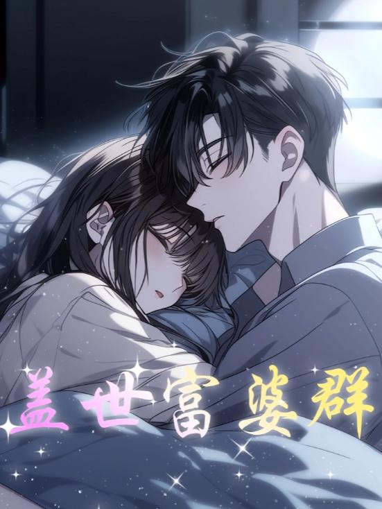 盖世富婆群封面