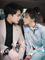 不装了,傻老公是高手封面