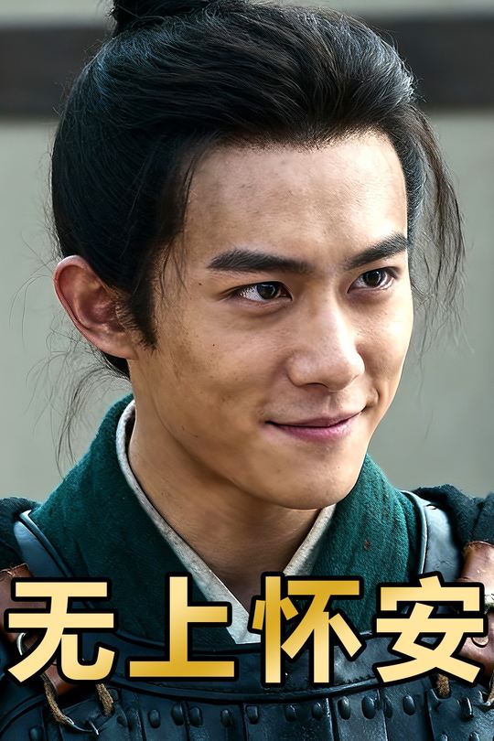 无上怀安封面