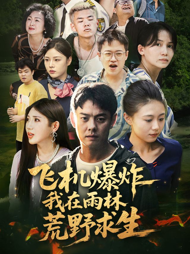 飞机爆炸我在雨林荒野求生封面