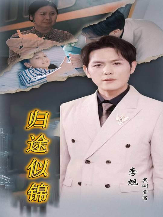 归途似锦封面